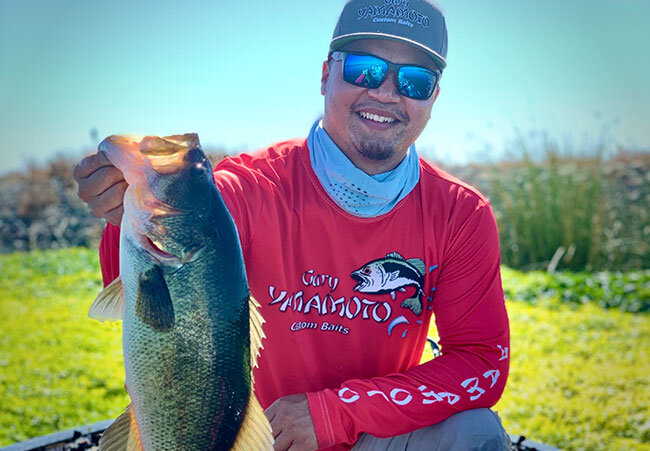 Early Spring Tips