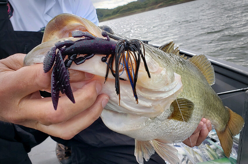 The Flappin' Hog - A Finicky Fish Enticer