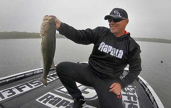 lefebre-swimjigs01.jpg