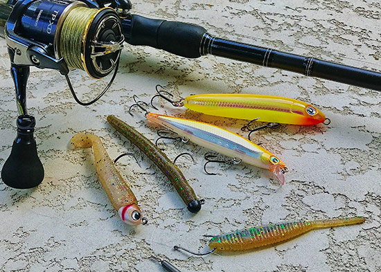 My best lures during the event: (L-R) Hildebrandt Drum Roller, 4" Senko with VMC Ned Rig Jig, Rapala Shadow Rap and Skitter V, Shad Shape Worm