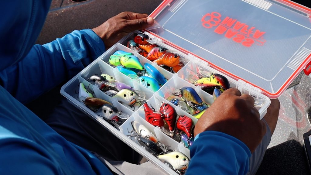Crankbaits For Bass