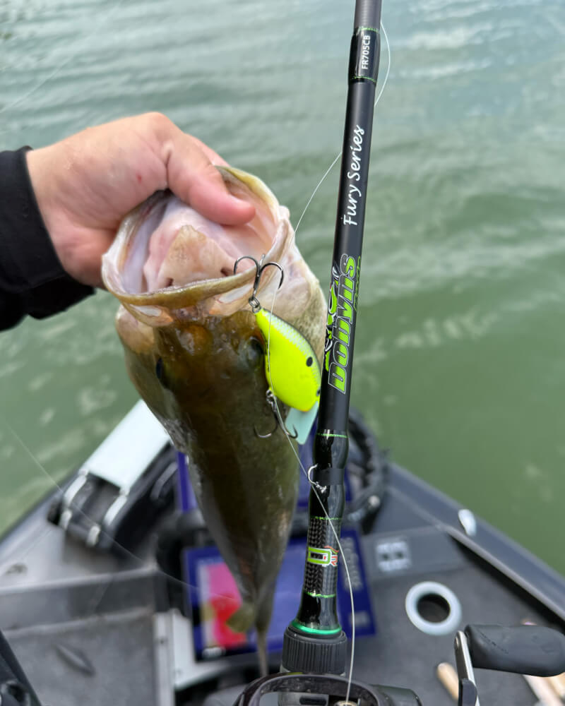 Home - Dobyns Rods